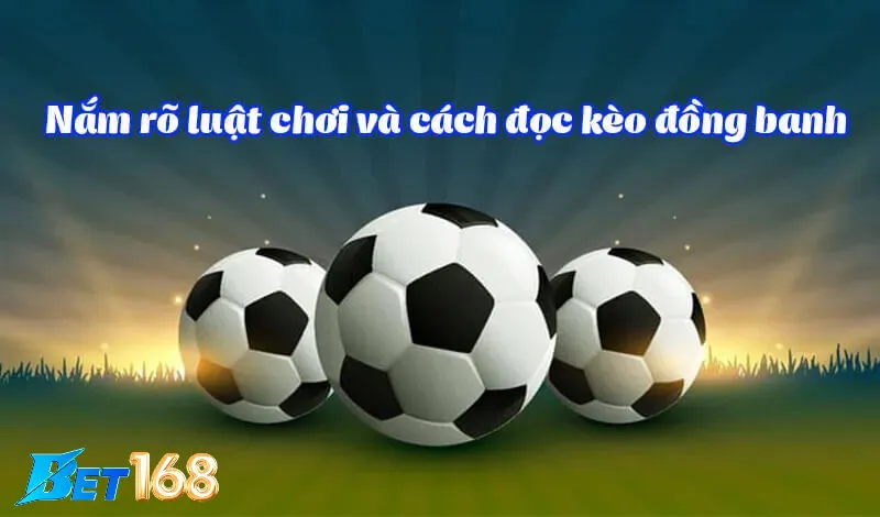 Chiến lược đặt cược thông minh với kèo đồng banh