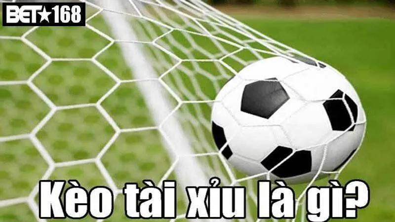Kèo Tài Xỉu Là Gì? Tại Sao Cần Cách Đọc Kèo Tài Xỉu?